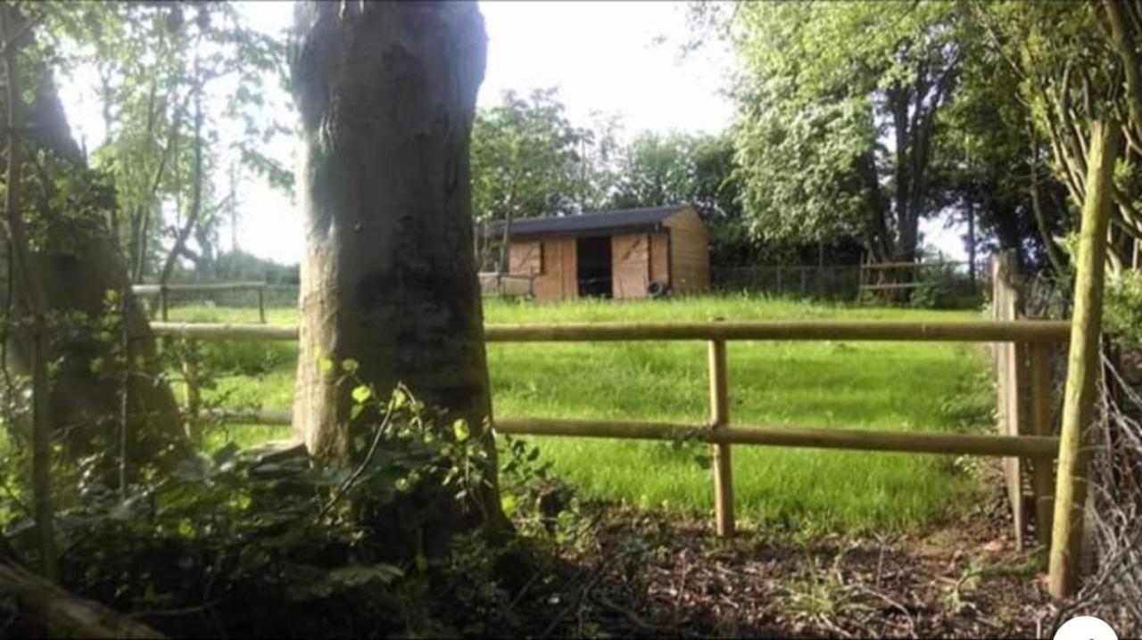 Meerkat Manor B&B Colwall Bagian luar foto